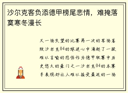 沙尔克客负添德甲榜尾悲情，难掩落寞寒冬漫长