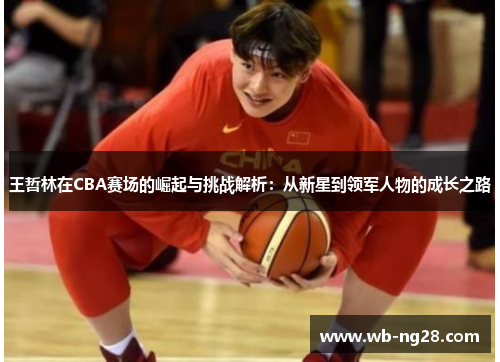 王哲林在CBA赛场的崛起与挑战解析：从新星到领军人物的成长之路